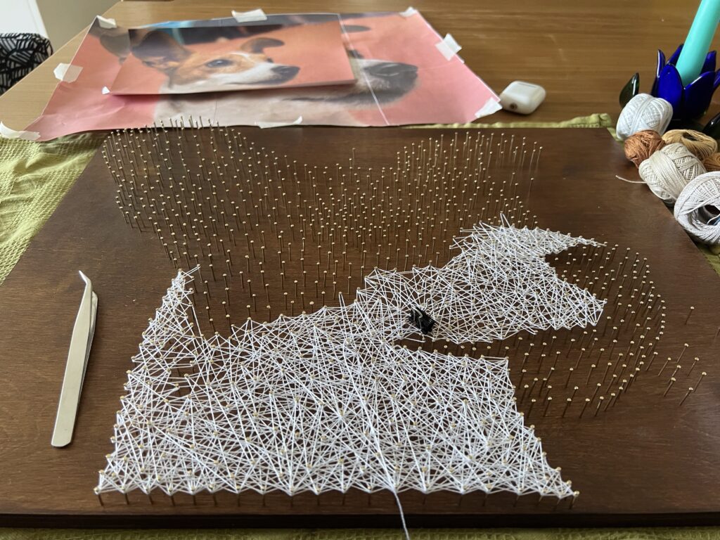 Стринг-арт портрет домашнего питомца. Натягиваем нитки