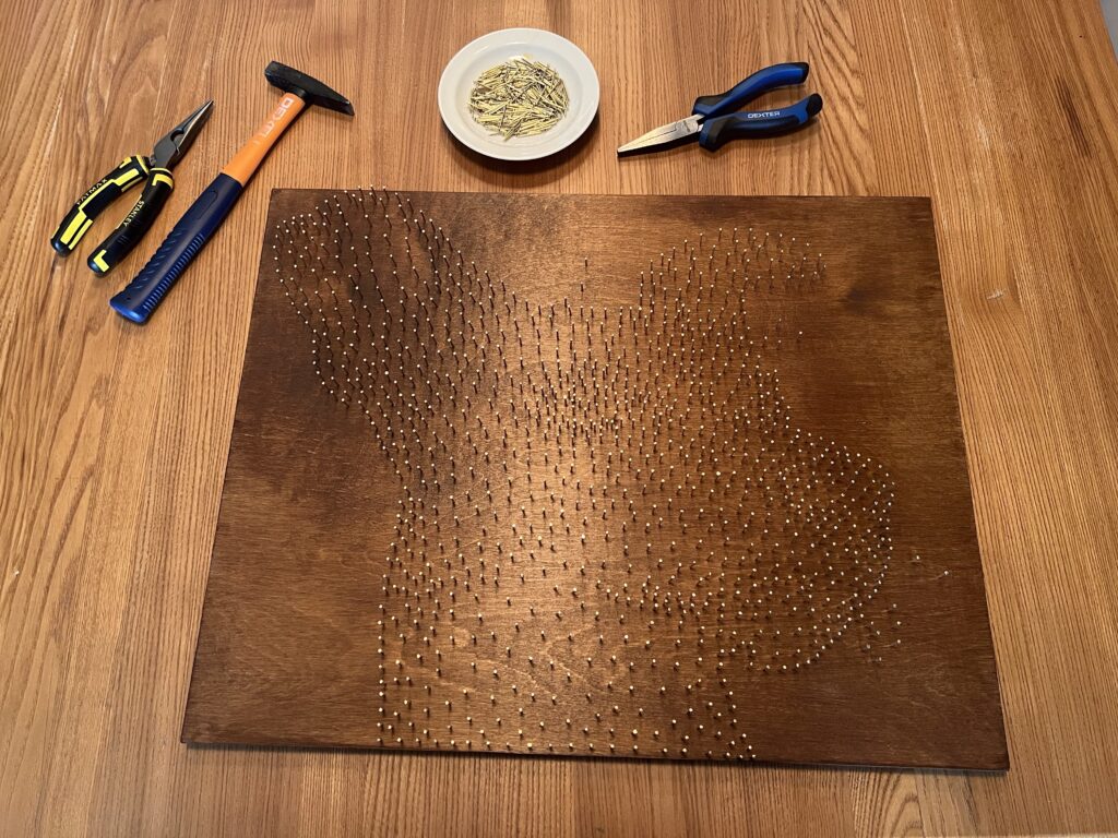 Стринг-арт портрет домашнего питомца. Забиваем гвозди